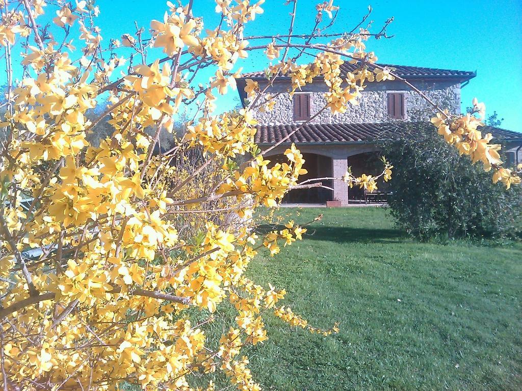 Agriturismo Il Poggiolo Montemerano Exterior foto